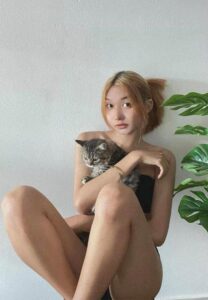 เจ้าแมวส้ม-ชอบแมว